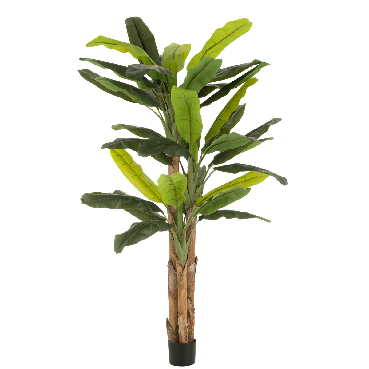 Artificial Potted Banana Tree, Green, H300 cm, J-Line