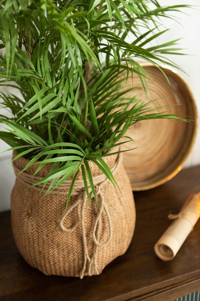 Bergpalm In Pot Plastiek Groen/Zwart Small - Kunstplant - J-Line - livinglovely.nl