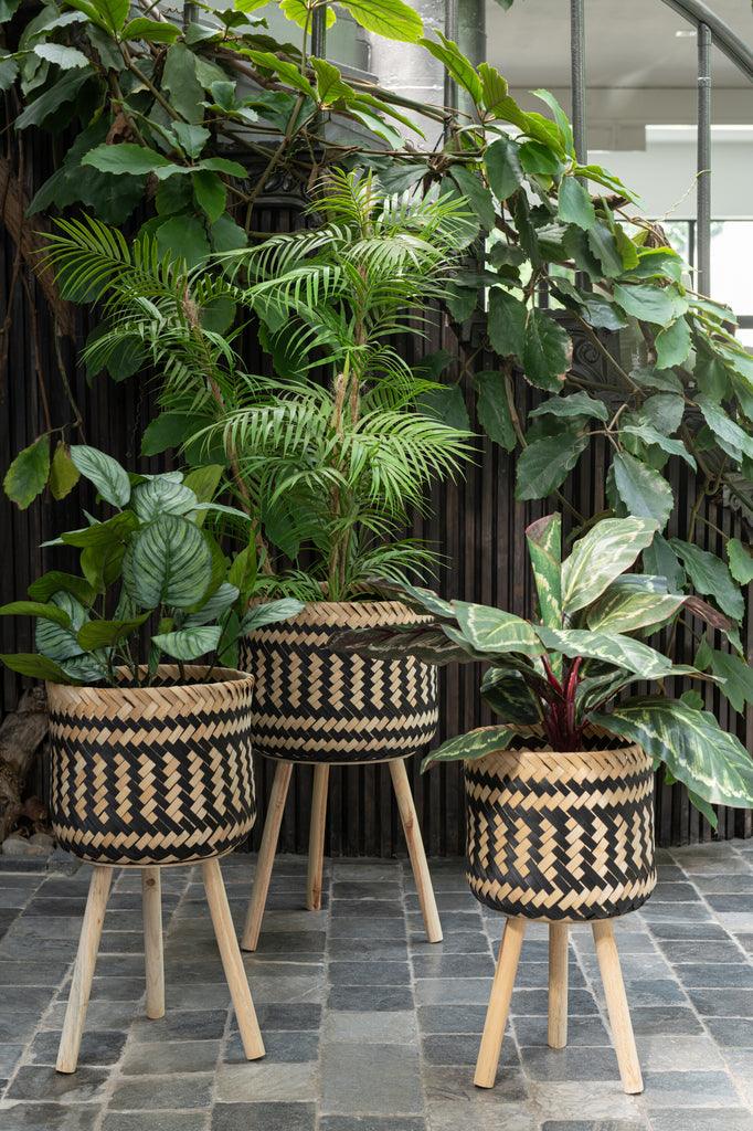 Bergpalm In Pot Plastiek Groen/Zwart Small - Kunstplant - J-Line - livinglovely.nl