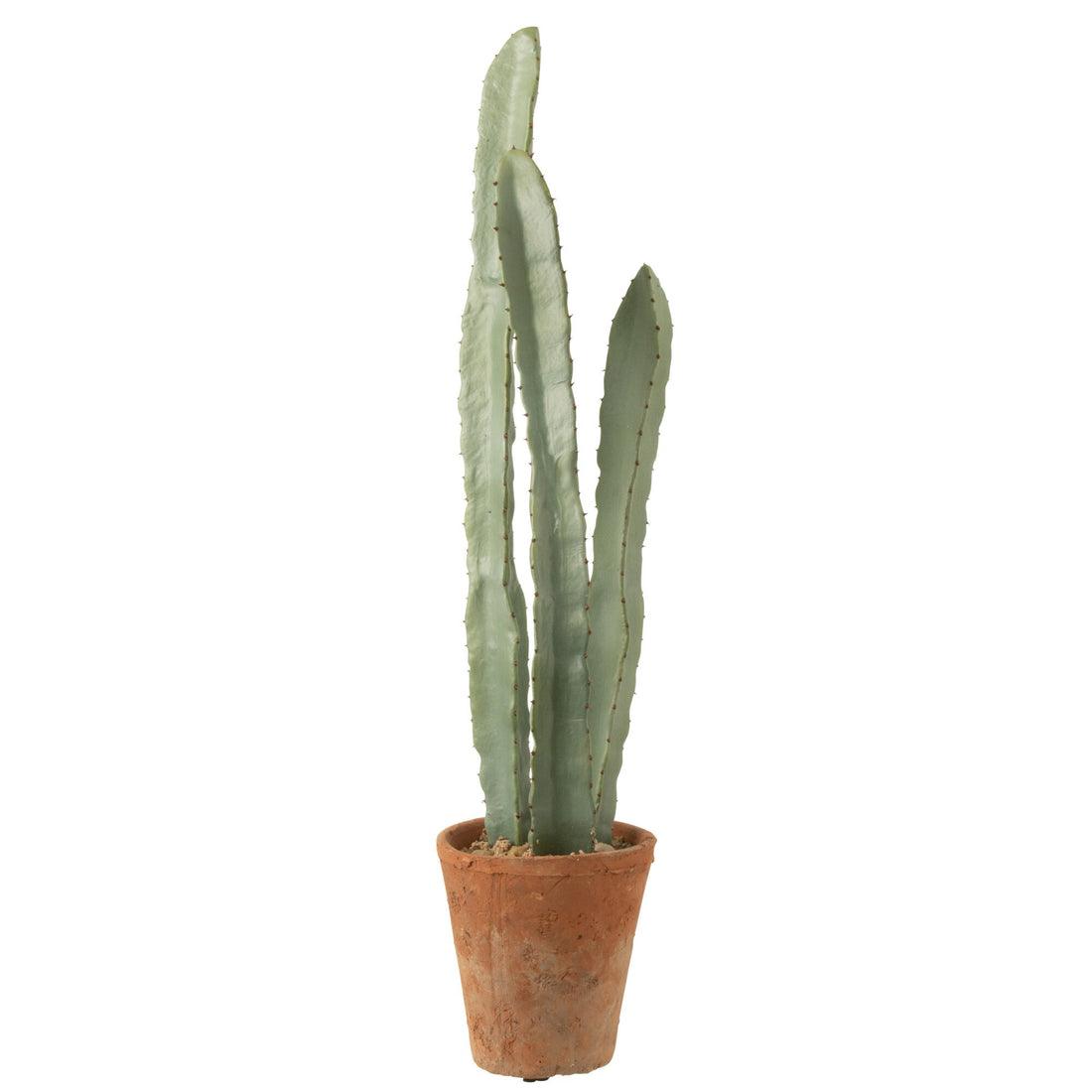Cactus In Plastic Pot Green Large Set of 3