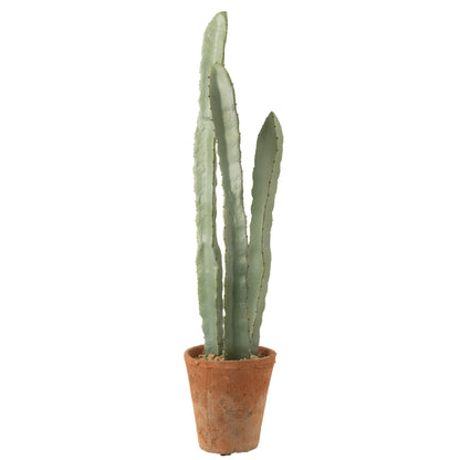 Cactus In Plastic Pot Green Large Set of 3