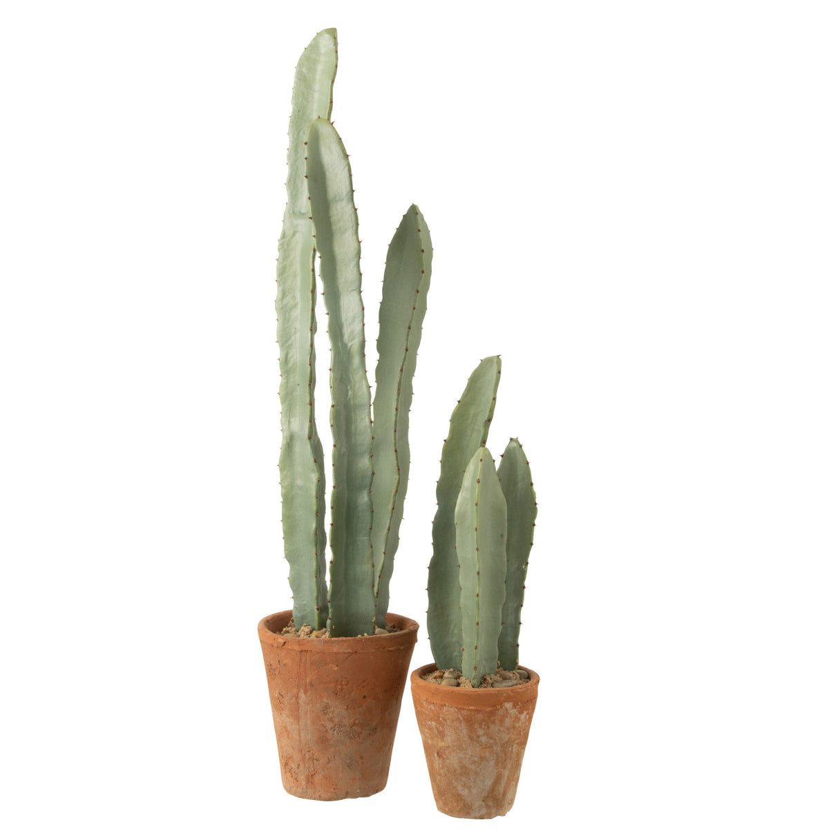 Cactus In Plastic Pot Green Large Set of 3
