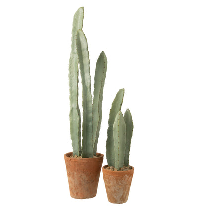 Cactus In Plastic Pot Green Large Set of 3