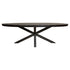 Eettafel Denver Zwart Ovaal 160cm van Starfurn, compacte ovale tafel zonder scherpe hoeken