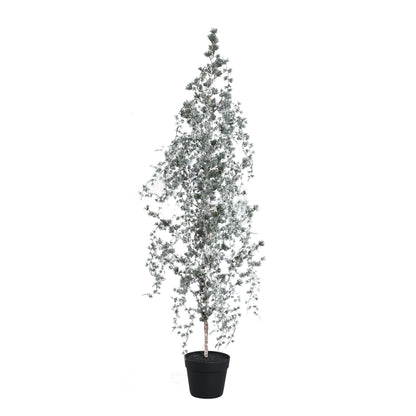Florine Kerstboom LED Met Sneeuw Large van PTMD, mosgroene kunstkerstboom met sneeuw en LED lampjes op witte achtergrond