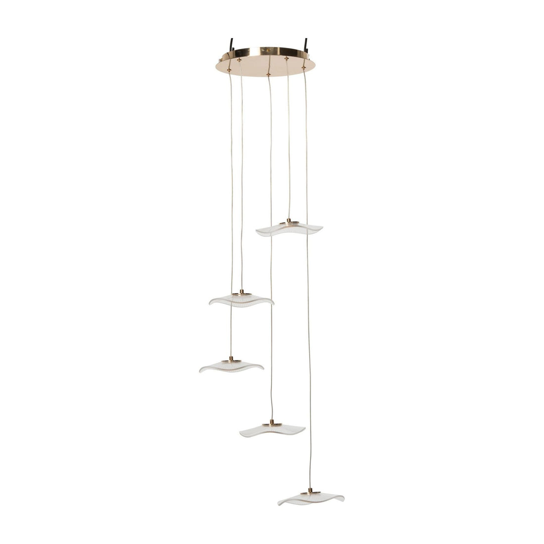 Flower Acrylic Gold Pendant Light Large J-Line