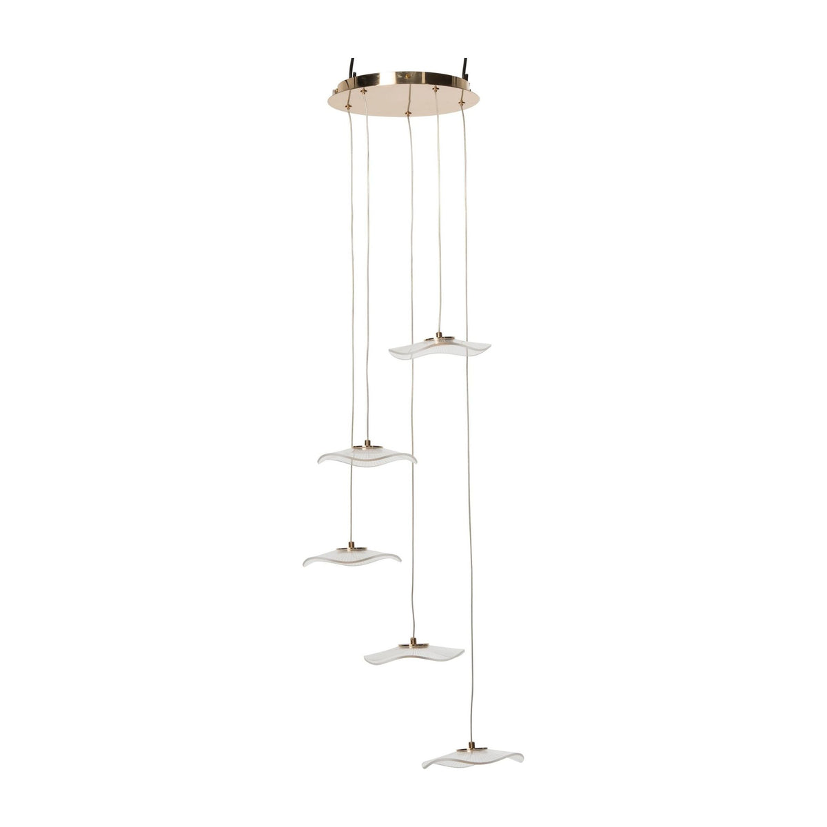 Flower Acrylic Gold Pendant Light Large J-Line
