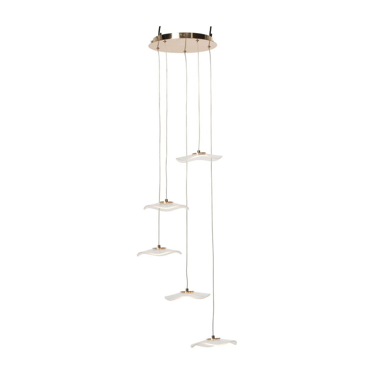 Flower Acrylic Gold Pendant Light Large J-Line