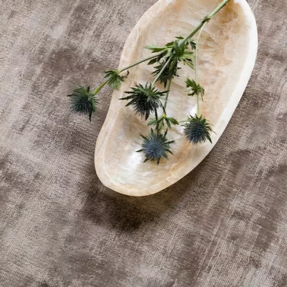 Must Living Schaal Bean - Schaal - MUST Living - livinglovely.nl