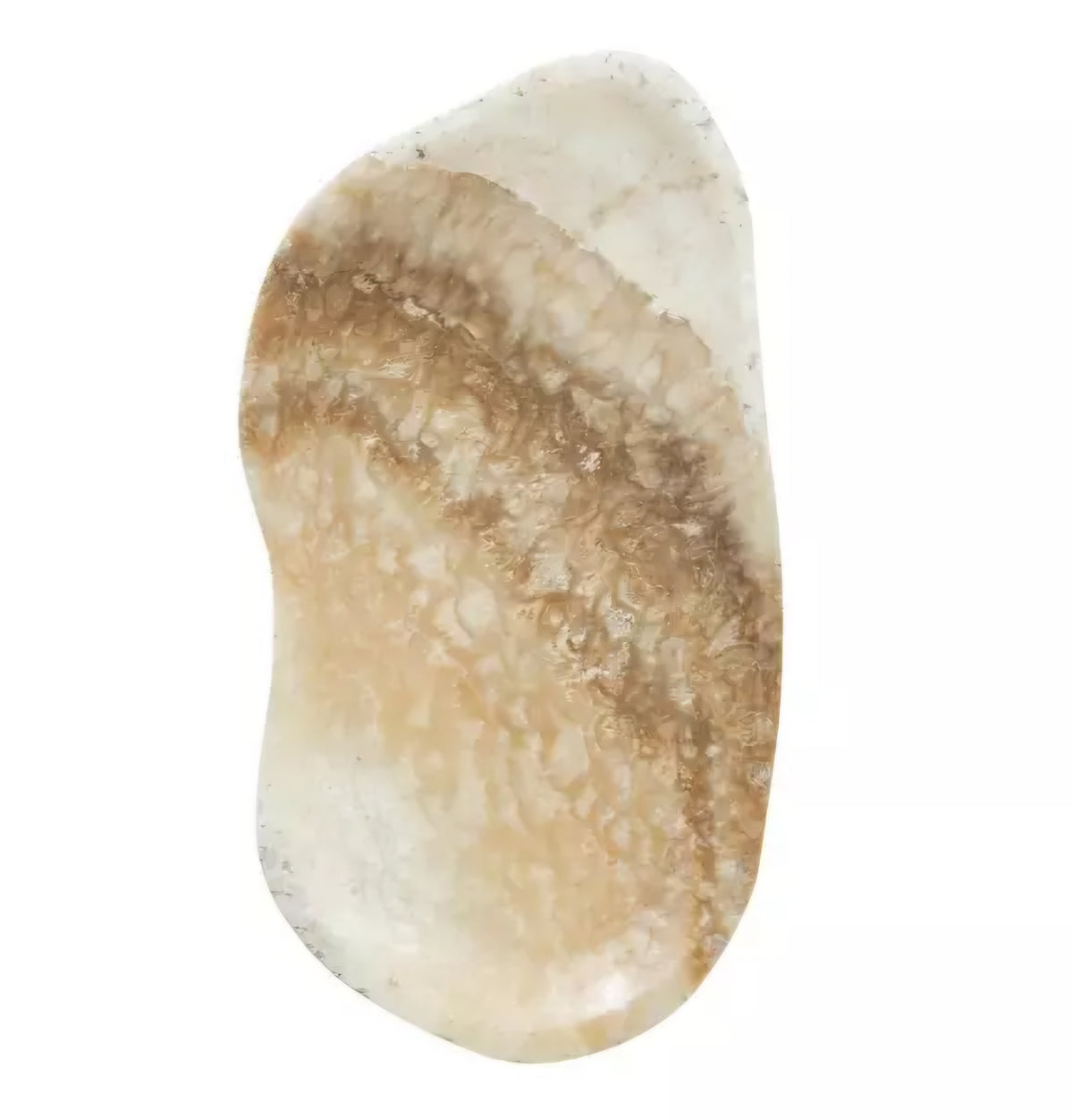 Must Living Schaal Bean - Schaal - MUST Living - livinglovely.nl