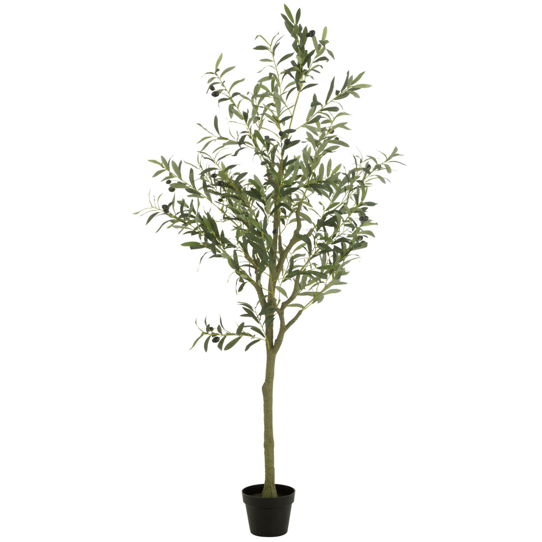 Olive Tree In Pot Artificial Green Large H180cm J-Line