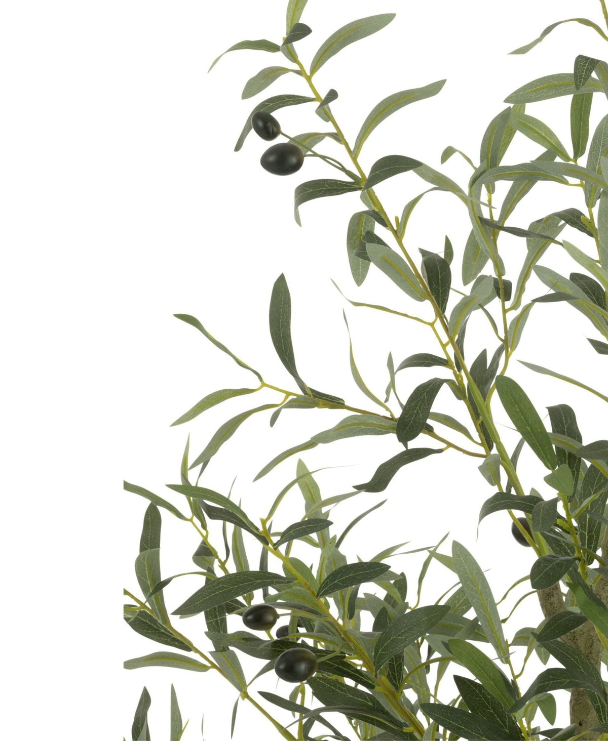 Olive Tree In Pot Artificial Green Large H180cm J-Line