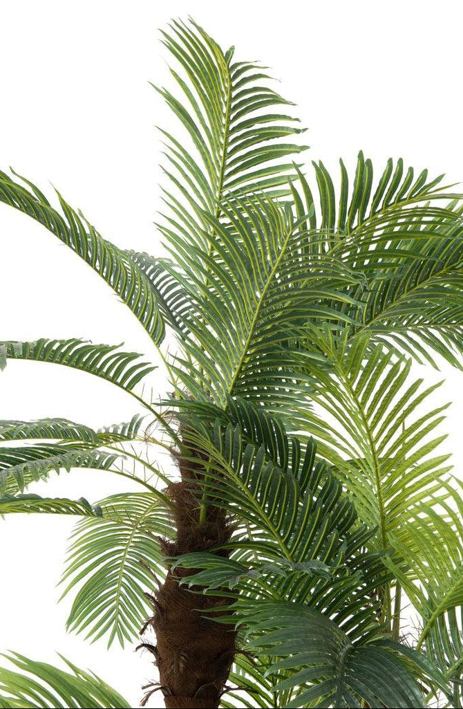 Palm Tree 3-Piece Real Touch In Pot Artificial Green H300cm J-Line