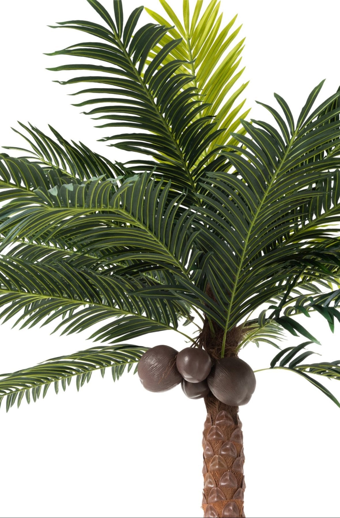 Palm Tree With 4 Coconuts In Pot Plastic Green H350cm J-Line