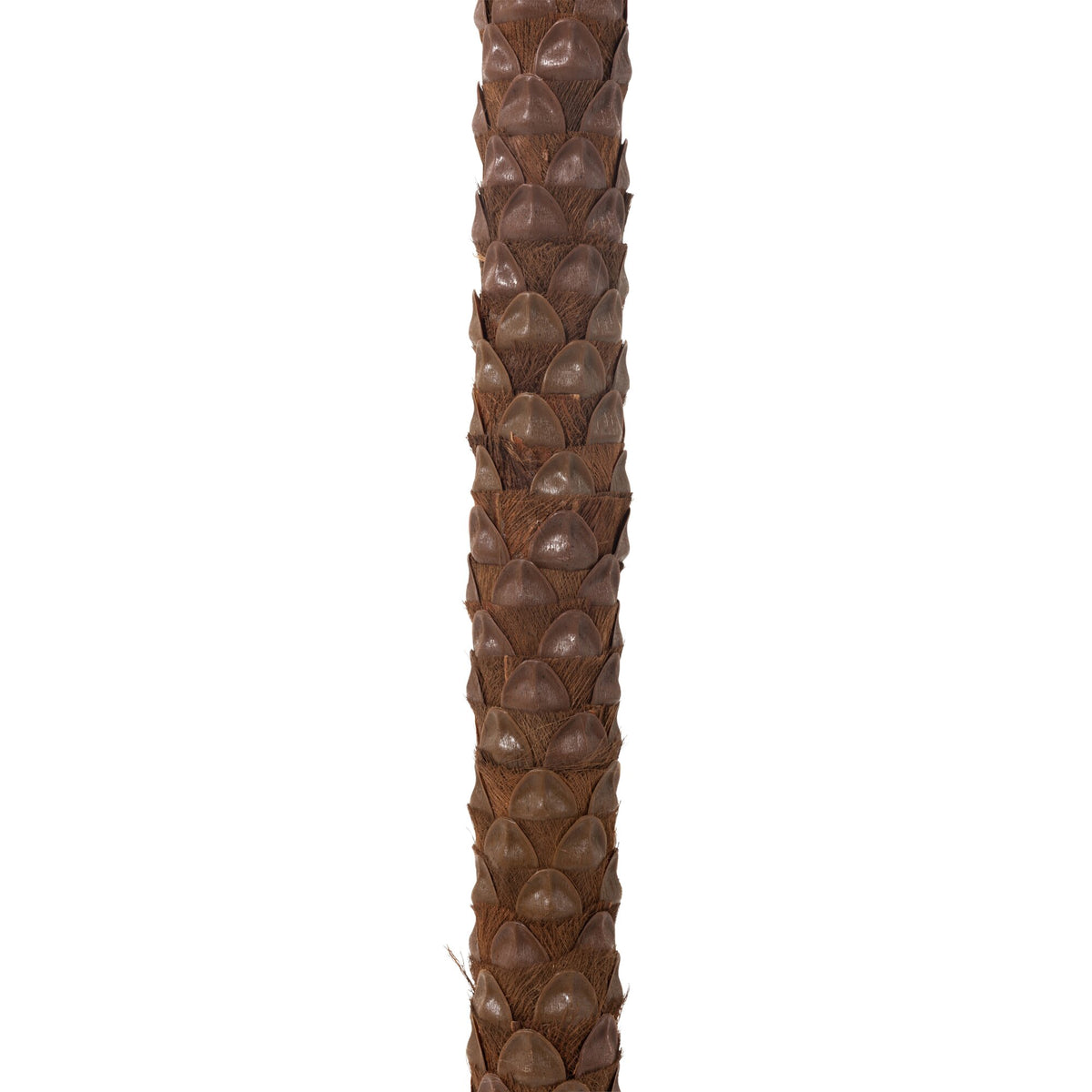 Palm Tree With 4 Coconuts In Pot Plastic Green H350cm J-Line