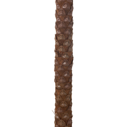 Palm Tree With 4 Coconuts In Pot Plastic Green H350cm J-Line