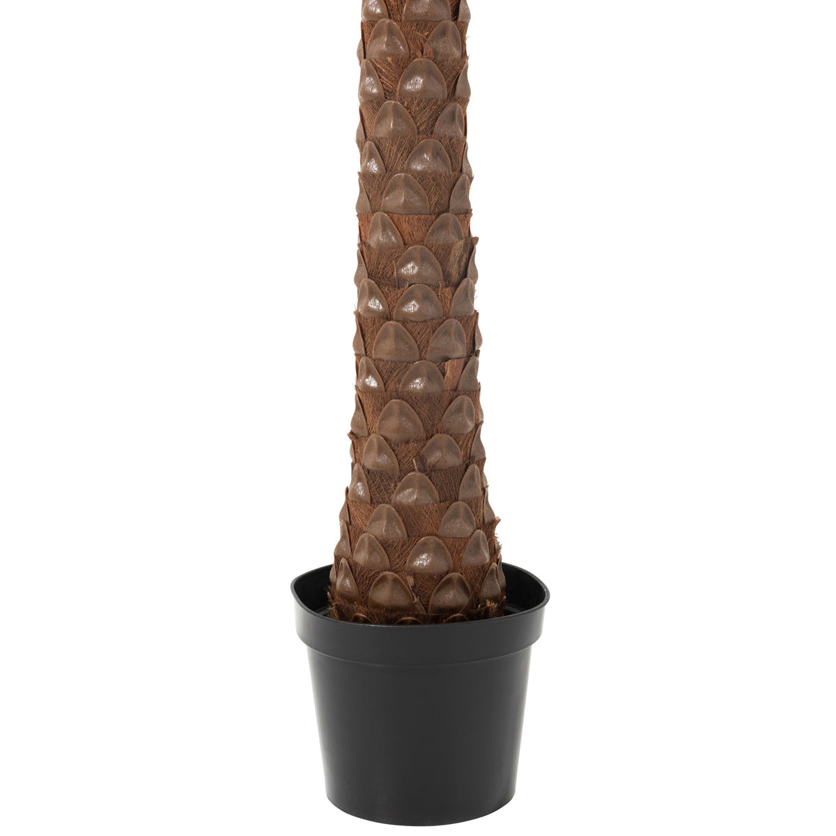 Palm Tree With 4 Coconuts In Pot Plastic Green H350cm J-Line