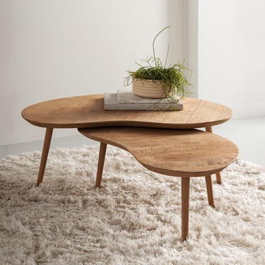 DTP Home Apollo Coffee Table Set of 2