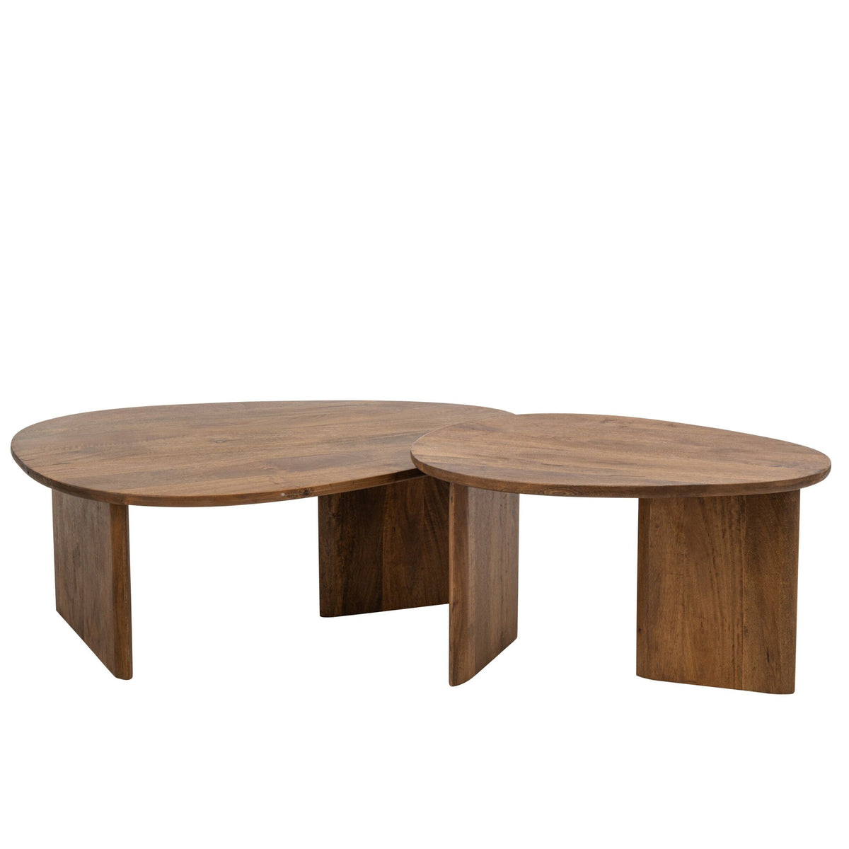 Natural Mango Wood Coffee Table Set of 2 J-Line