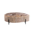 Taly Koffietafel Large van PTMD, grote salontafel van versteend hout op zwarte metalen poten op wit